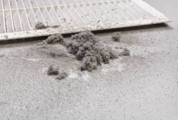 Best Residential Air Duct Cleaning  in Rehoboth Beach, DE