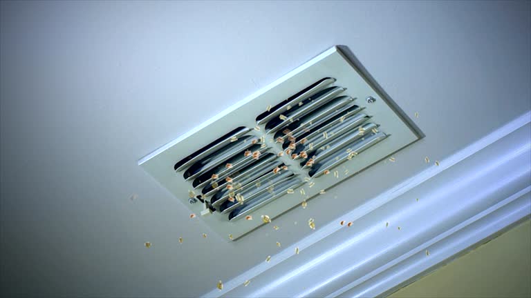 Best Air Vent Cleaning Services  in Rehoboth Beach, DE