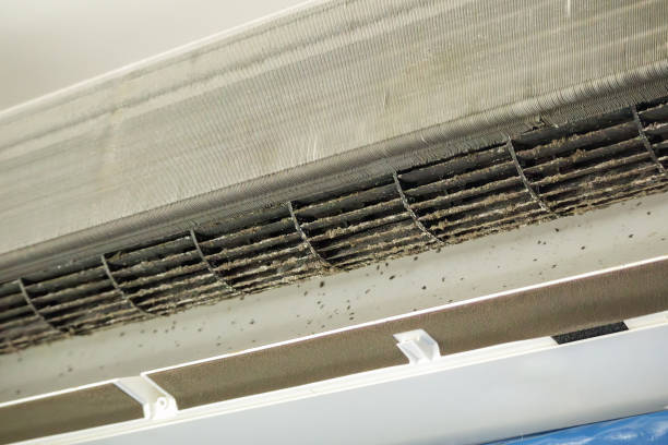 Best Professional Duct Cleaning Services  in Rehoboth Beach, DE