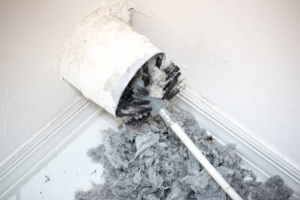 Air Duct Mold Removal in DE